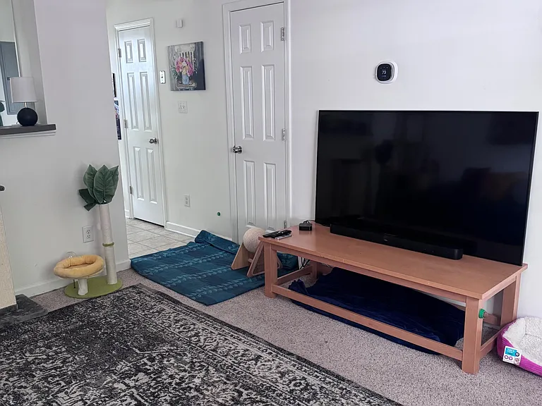 Open living area with carpeting, large smart TV setup, and easy flow to adjacent rooms for everyday comfort.