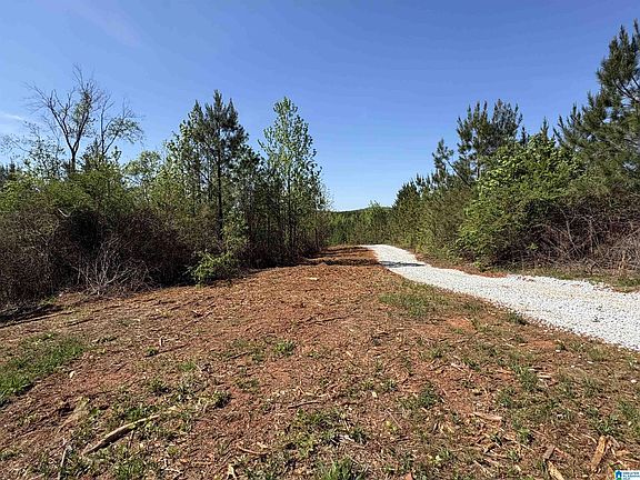 4th image of 2A Old Highway 431 #2-A
