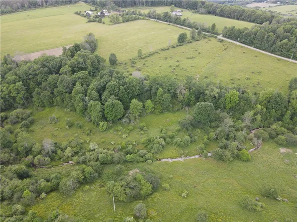 LOT 12 Beebe Hill Rd Lot 12, Cuba, NY 14727
