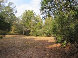 SW 202nd Ave LOT 31, Dunnellon, FL 34431