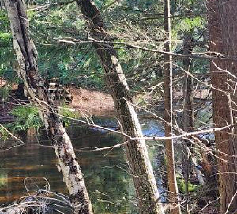 2nd image of Nhn Metzke Rd