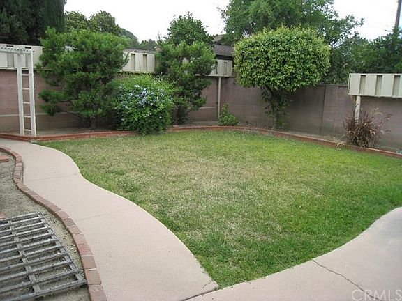 Another Backyard View