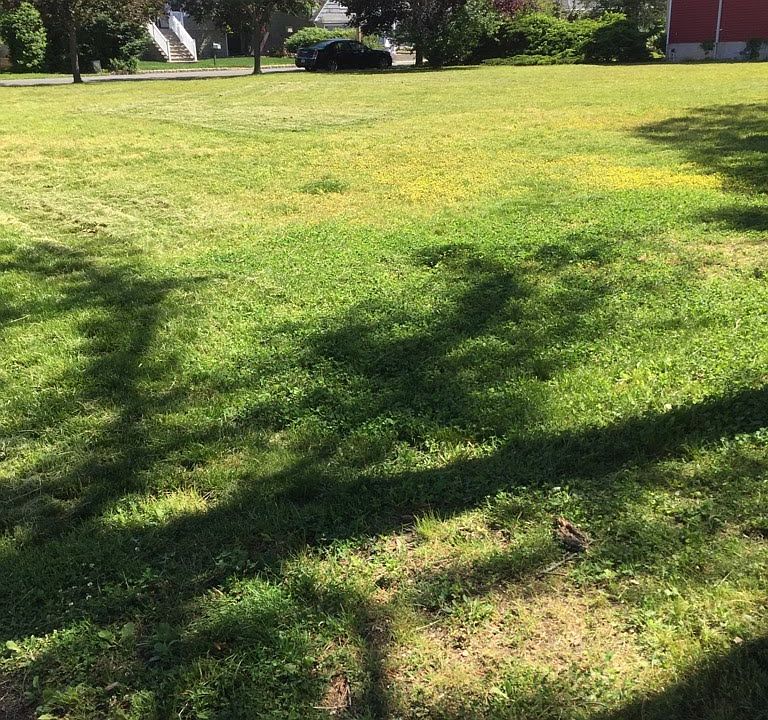 2nd image of 2216 Middle Ave
