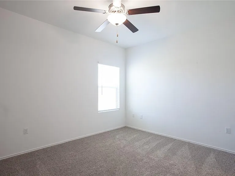 15302 Grenadine Bloom Cv — Photo 9