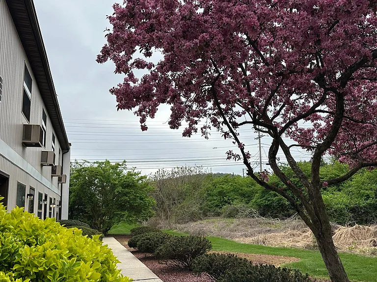 1338 W Wyomissing Ct #F — Photo 13