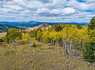 901 Golden Cycle Cir, Cripple Creek, CO 80813