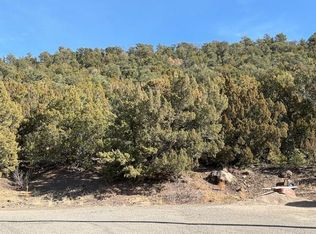 Vacant Lot Roosevelt Blk 14 Lts #23-24, Trinidad, CO 81082