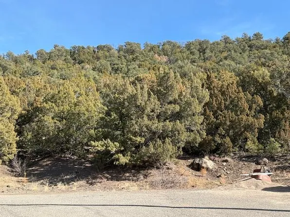 Vacant Lot Roosevelt Blk 14 Lts #23-24, Trinidad, CO 81082