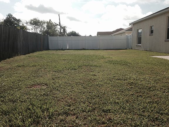 Backyard View