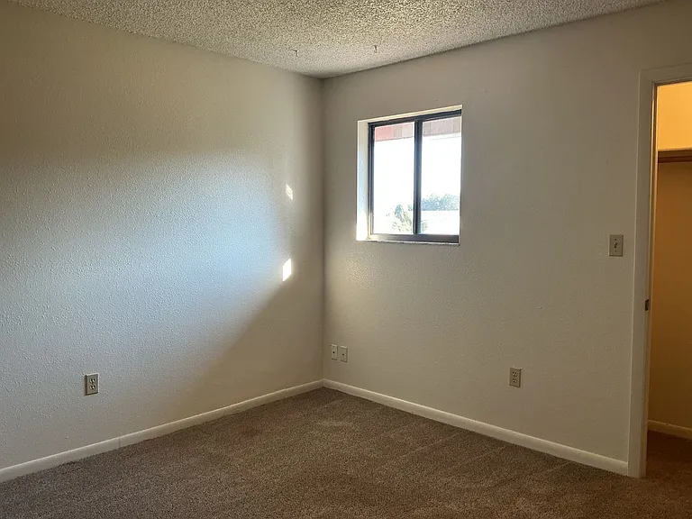 411 E Park St — Photo 15