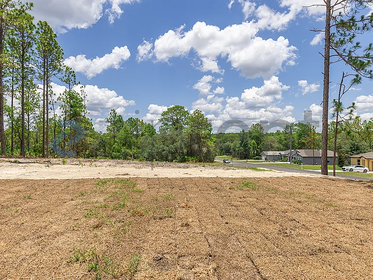 2541 W Diane Ln — Photo 18