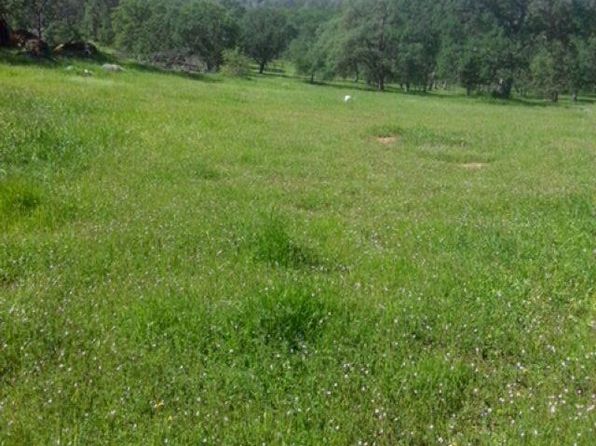 56 Deer Hollow, Browns Valley, CA 95918