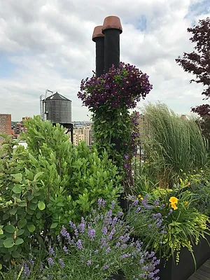 Sold by Douglas Elliman | media 12