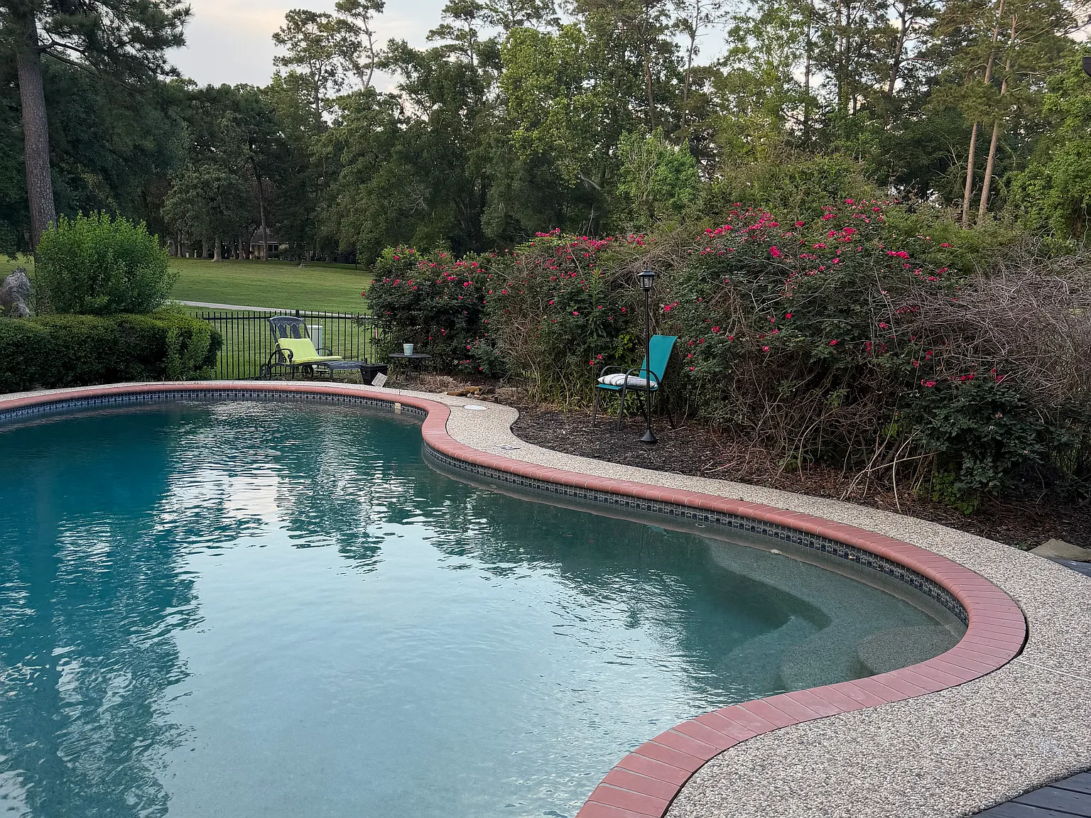 1 bed, 3700 sqft, $800 — Photo 1