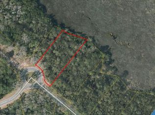 348 Lake Stillwater Dr, Saint Simons Island, GA 31522