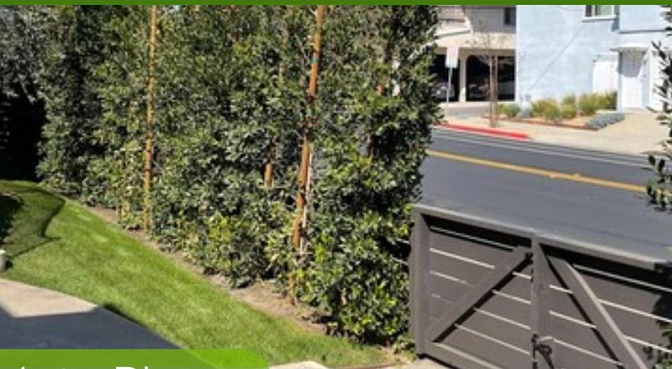 1st image of 2660 23rd St #2660