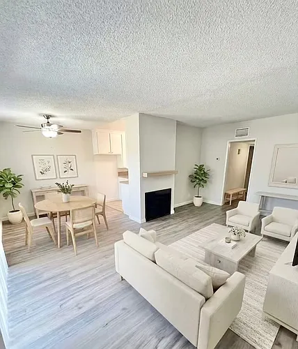 Floor plan 204