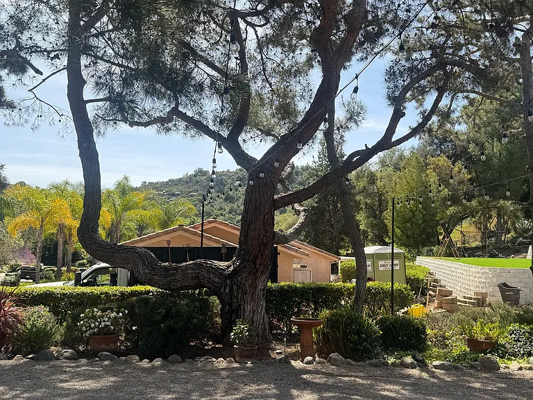 28034 Glenmeade Way — Photo 9