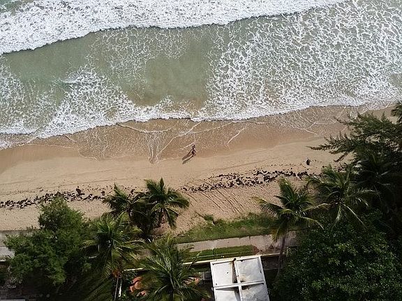 View from Balcony