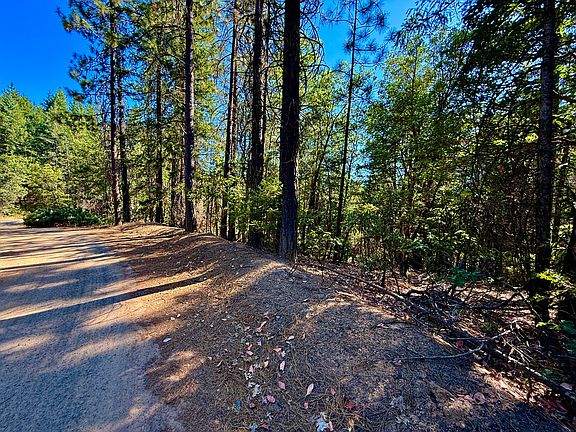 2nd image of 1200 Pine Forest Dr