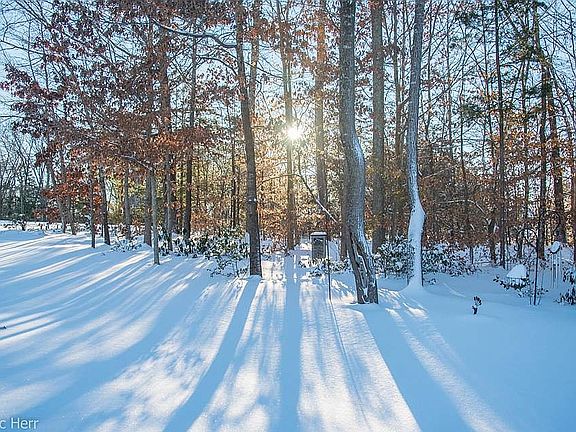 Front woods
