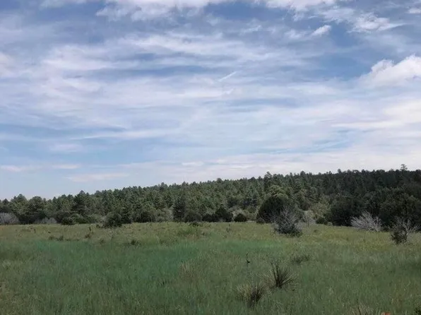 22 Candelaria Rd, Tijeras, NM 87059