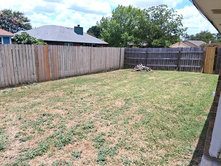Back Yard