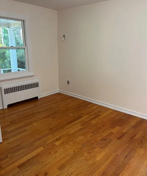 261 Schenck Ave #1 — Photo 6