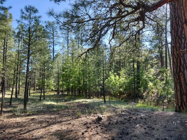2466 Woodland Dr, Happy Jack, AZ 86024