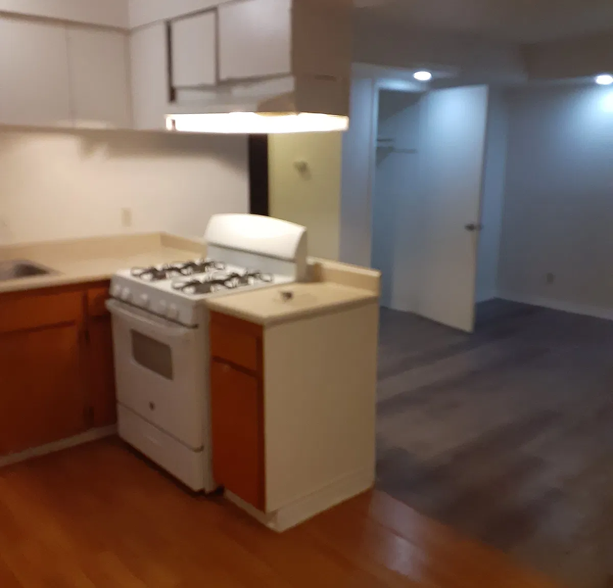 2 bed, 700 sqft, $1,350 — Photo 2