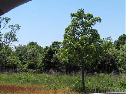 1st image of 555 Summit Ln