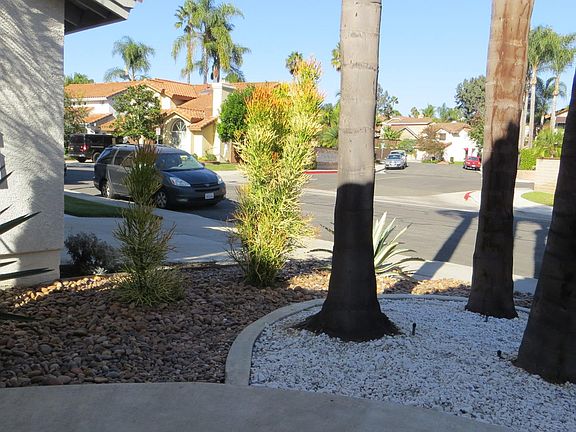 Low maintenance landscape