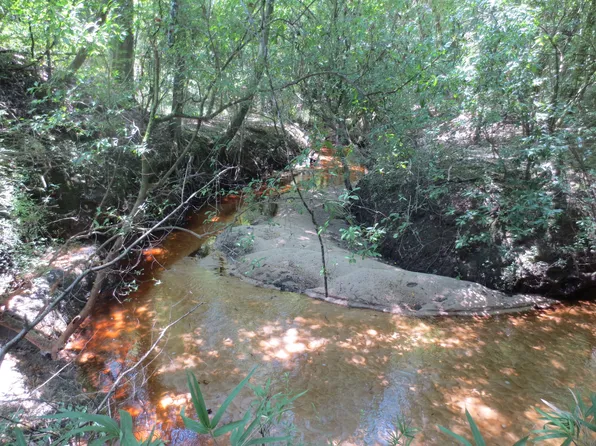 Old Highway 49 Lot Wp003, Seminary, MS 39479