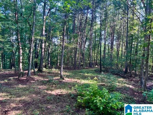 0 County Road 88 #10, Delta, AL 36258