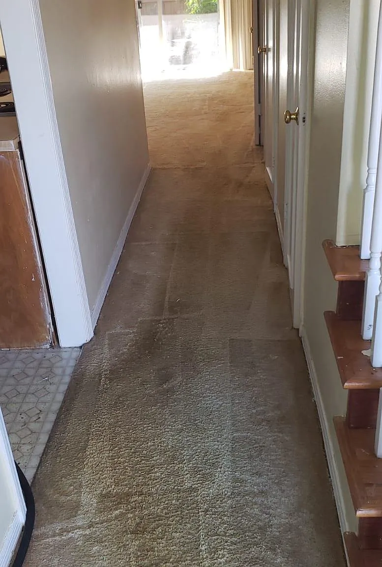 2 bed, 1.5 bath, 1120 sqft, $1,650 — Photo 3