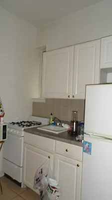 Rented by Manhattan Flats | media 15