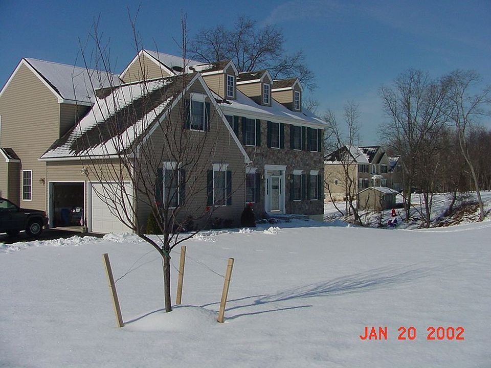 Winter Shot