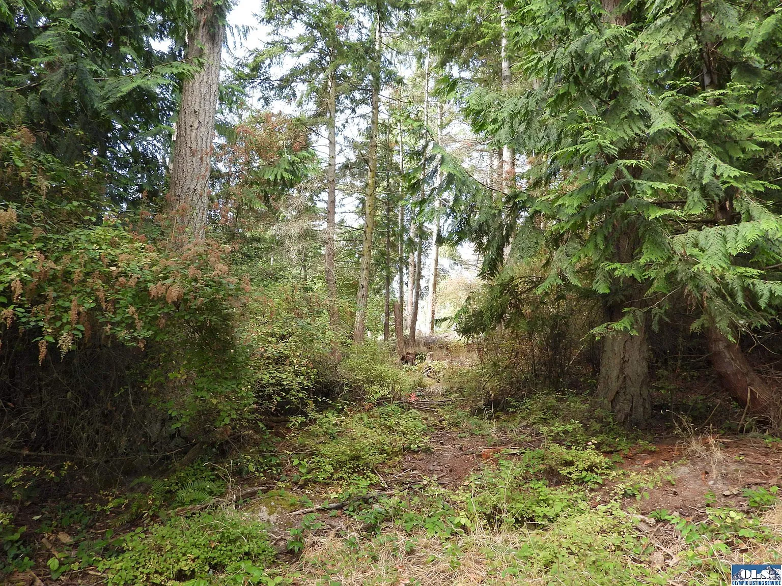 21 Diamond Point Rd photo 1