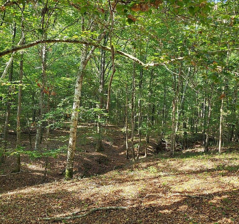 1st image of 1294 Anders Rd