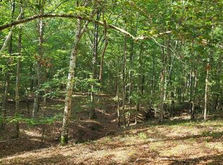 1294 Anders Rd, San Augustine, TX 75972