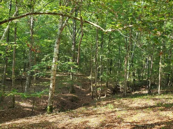 1294 Anders Rd, San Augustine, TX 75972