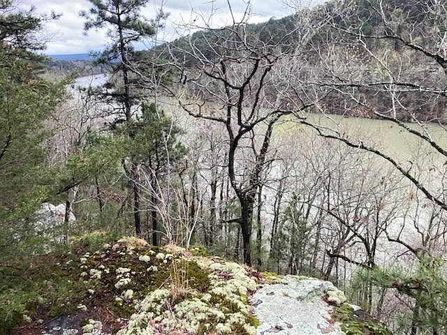 1st image of 321 County Road 1721