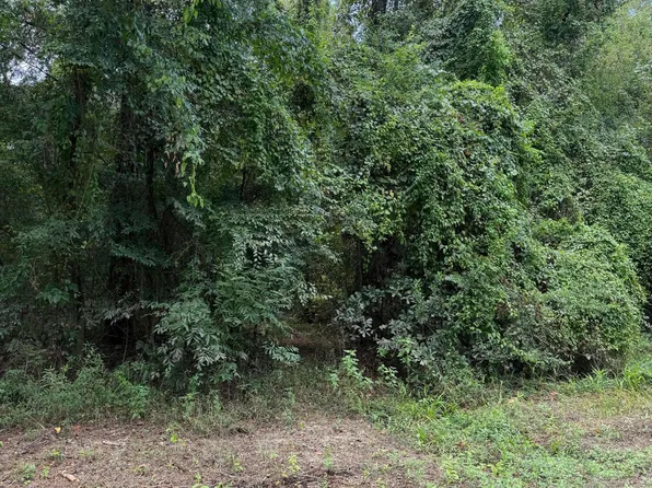 4 Pascagoula Dr, Lucedale, MS 39452