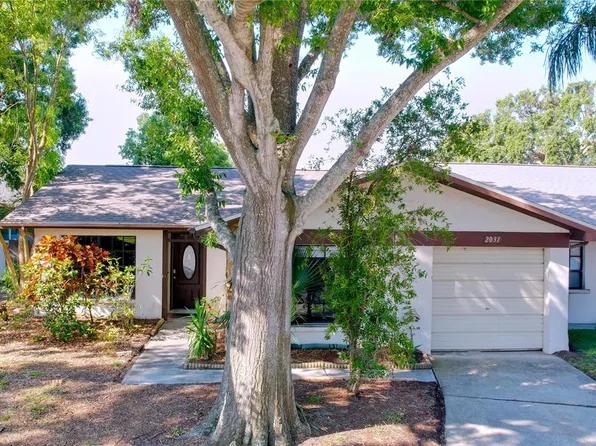 2031 Dover Ct, Oldsmar, FL 34677