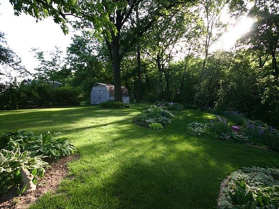 Backyard3 - April 2007