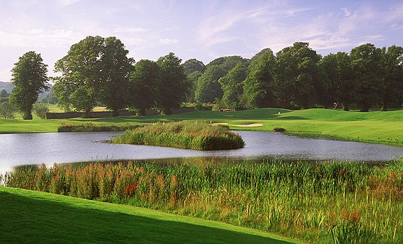 Near Windtree Golf Course!