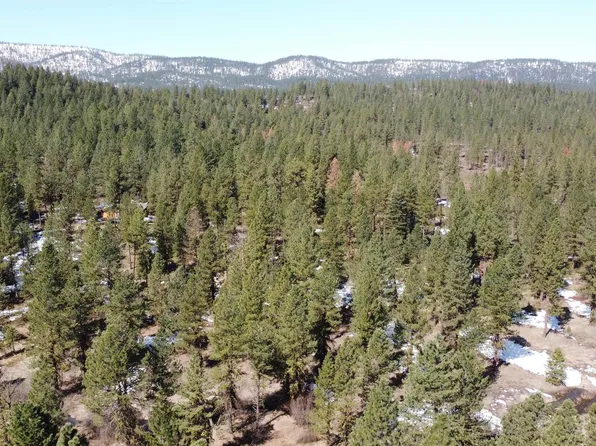 LOT 5 Timber Ridge Dr, New Meadows, ID 83654