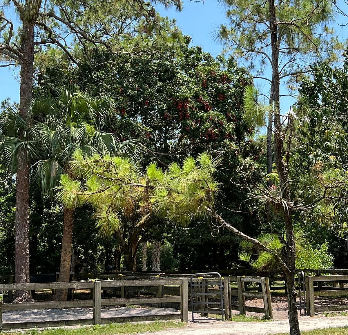 2 bed, 3.0 bath, 1806 sqft, $600 — Photo 4