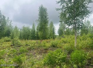 4764 S Horseshoe Lake Rd, Big Lake, AK 99623