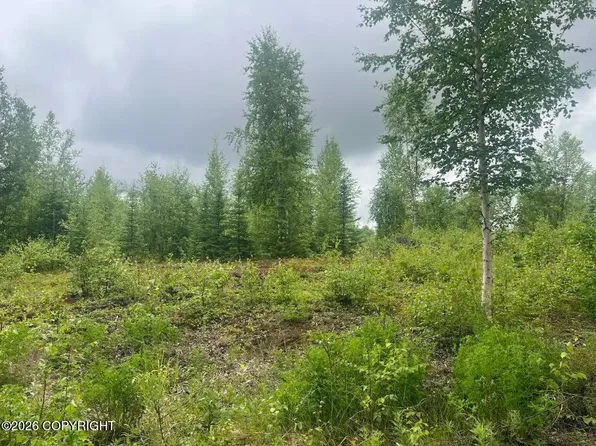 4764 S Horseshoe Lake Rd, Big Lake, AK 99623